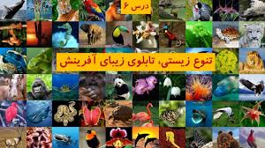 درس ششم تنوع زیستی , تابلوی زیبای آفرینش (ppt) 70 اسلاید